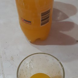 , , 44 