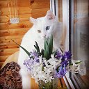 ���� ���, ����� - ��������� 29 ������� 2022 � ������ ���� ����������