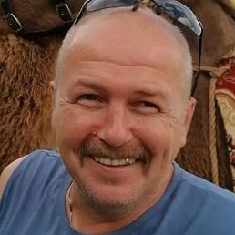 ���������, �������, 55 ���