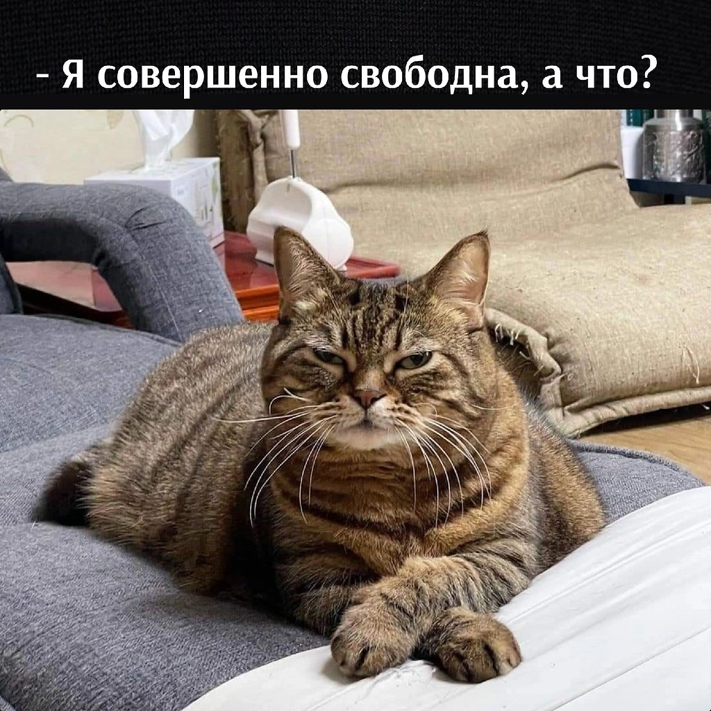       - 11  2022  20:09 - 2