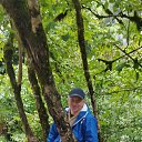 ���� ����, �����-���������, 51 ��� - ��������� 17 ������� 2023 � ������ ���� ����������