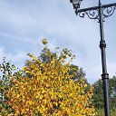 ���� �����, �������������-����������, 65 ��� - ��������� 11 ������ 2022 � ������ ���� ����������