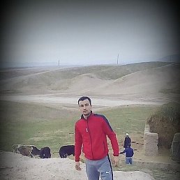 , , 31 