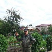 , 53 , 