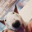 ���� Aleks, ���� - ��������� 4 ������� 2023