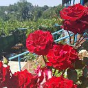 ���� Igor, �������, 46 ��� - ��������� 18 ������ 2023 � ������ ���� ����������
