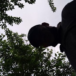, , 44 