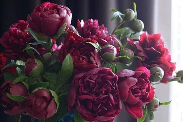 :) Фарфоровые букеты Олеси Галущенко — словно живые цветы.Одесситка Олеся Галущенко увлеклась ... - 2