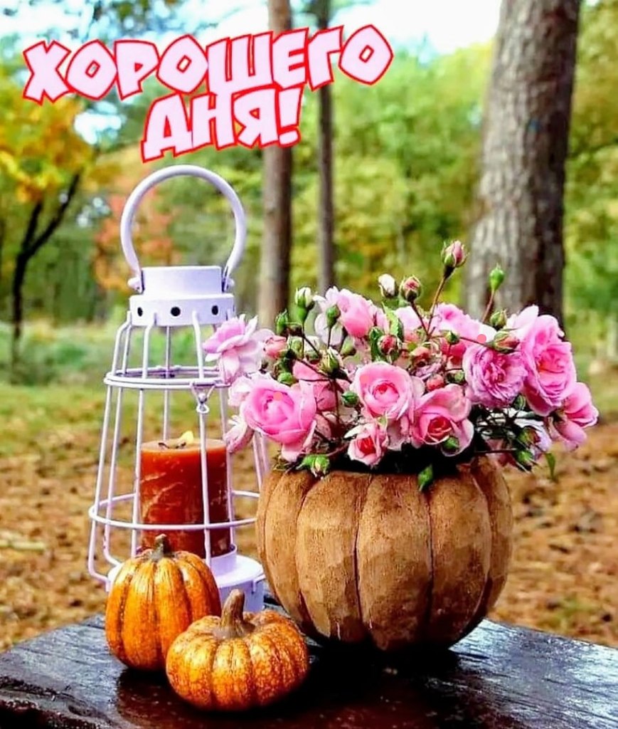   ,    . - 28  2022  21:11