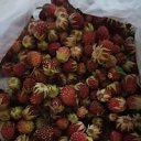 ���� ���, �������������, 44 ���� - ��������� 29 ������� 2022 � ������ �����