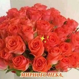  Leonid, , 69  -  27  2022