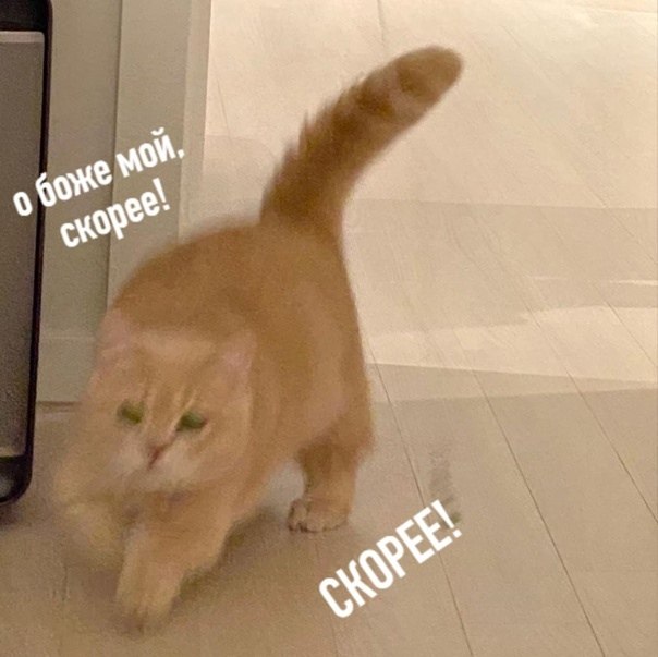 3 ���� ���� ����� ����� ��������� �������