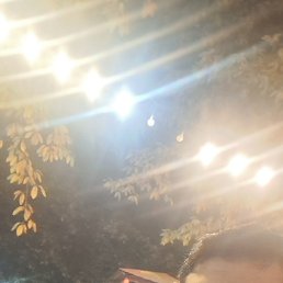 Mcid, ����, 34 ����