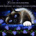  ,  -  2  2022     ,  .