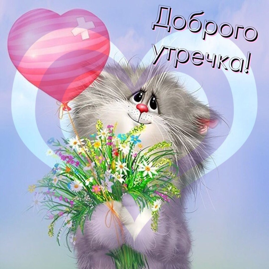   ,    . - 15  2022  21:57