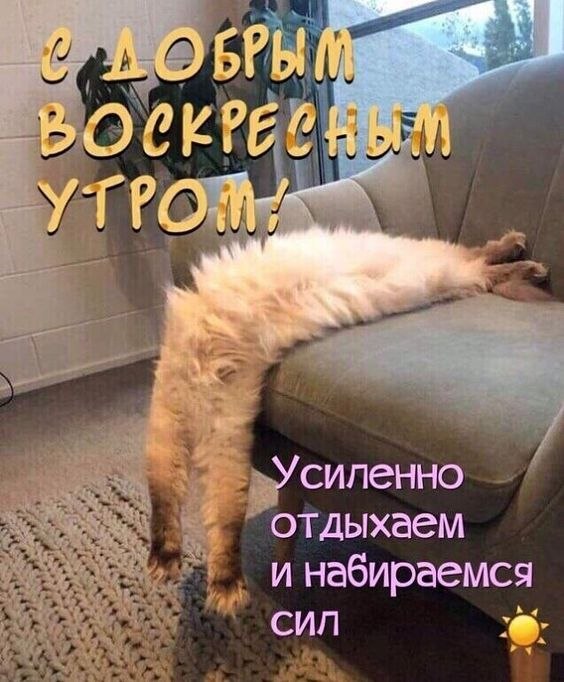  - 29  2022  08:14