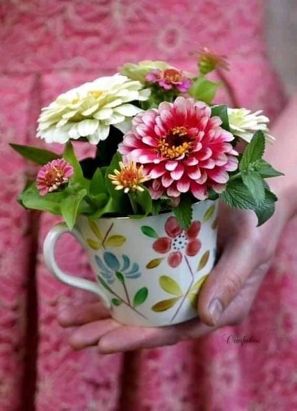 ����� �� ��������� ���� �����������! �� ����� ������� �������. �����, ����������� �� ������ ������, ...