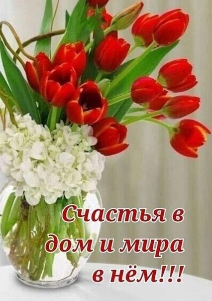   ,    . - 15  2022  15:03 - 2
