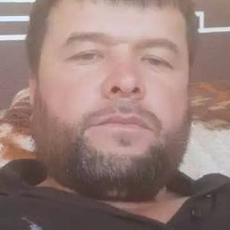 �����, ������, 41 ���