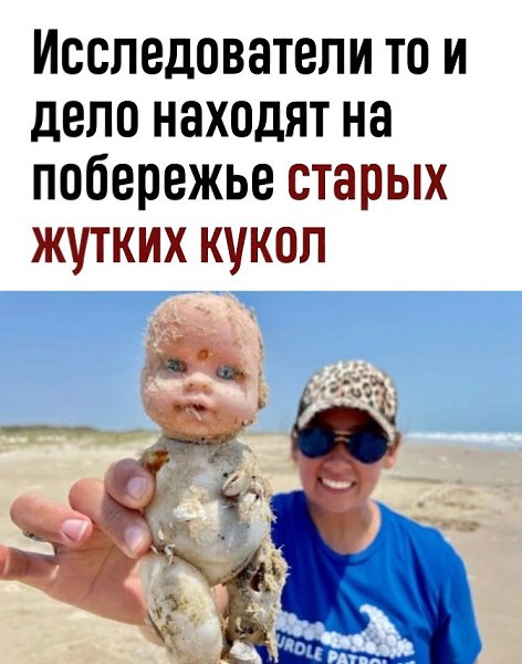 Отличное начало для сюжета фильма ужасов