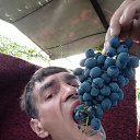 ���� ������, �������, 47 ��� - ��������� 10 ������� 2022 � ������ ���� ����������