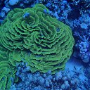 ���� Hamada, ����, 50 ��� - ��������� 4 ����� 2022 � ������ ���� ����������