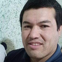 Orolbek, �����, 33 ����