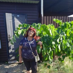 , , 53 