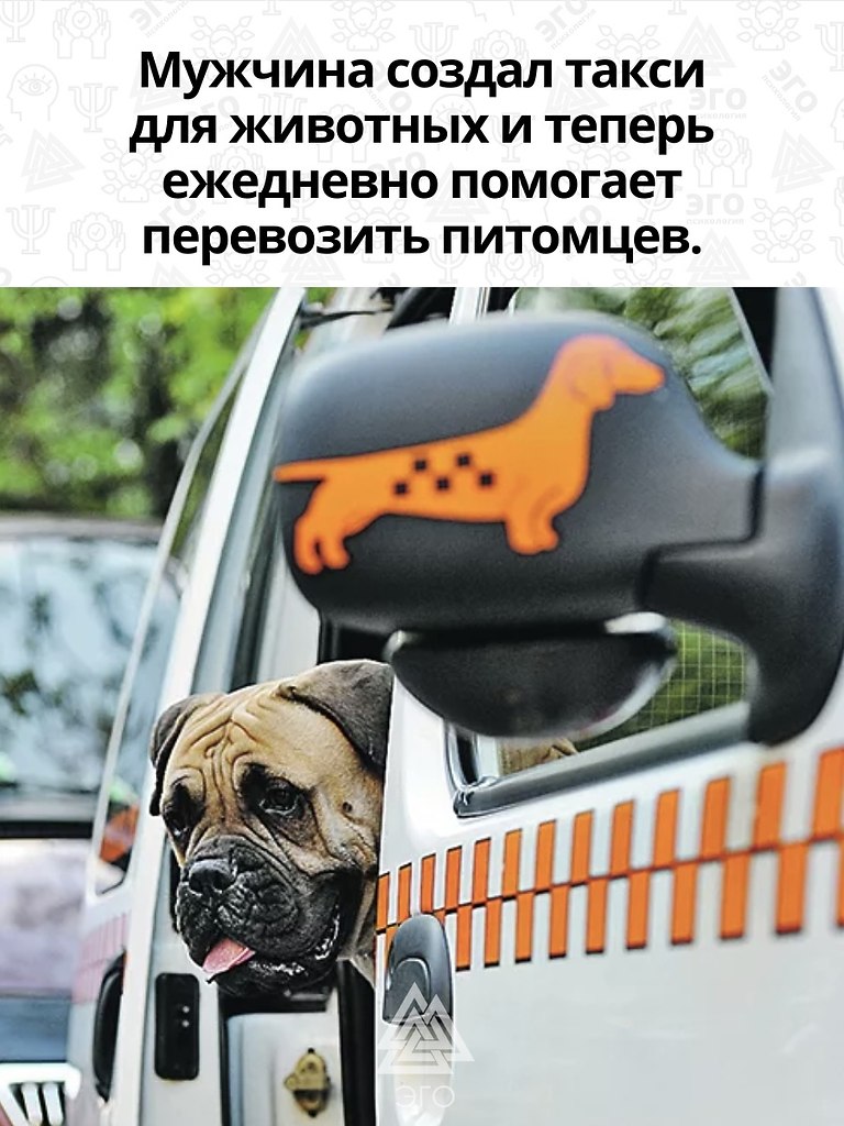   ,      !