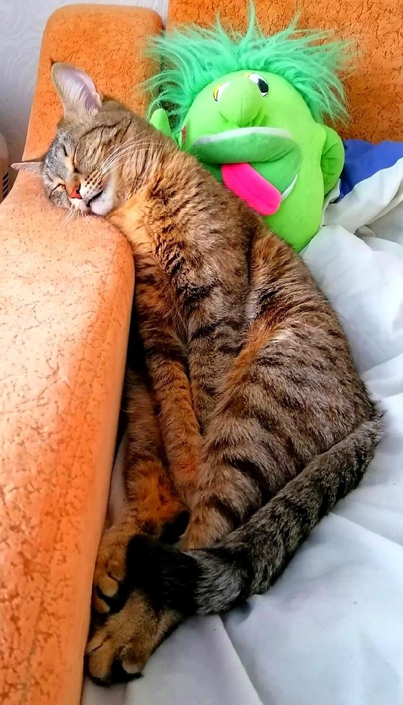  ...  ,  )))