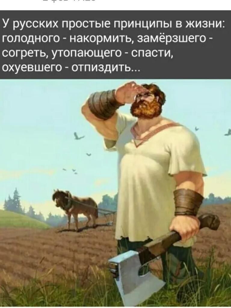  ))