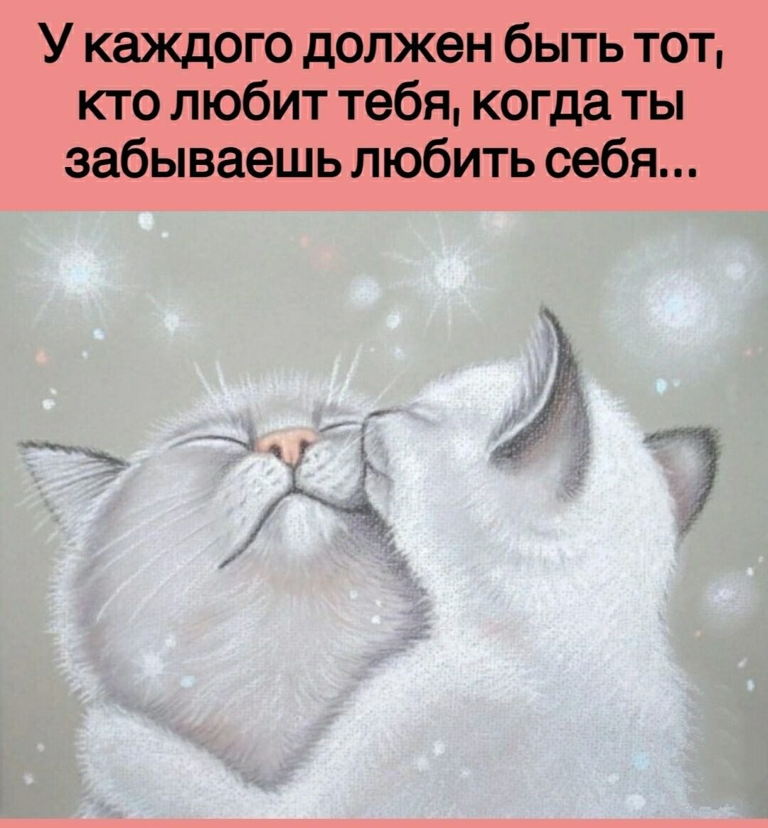 ***Victoria Viktorovna*** - 6  2022  06:40