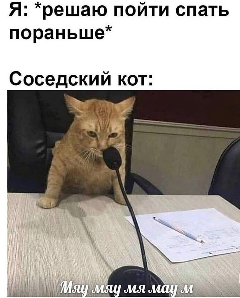   - 23  2023  20:13
