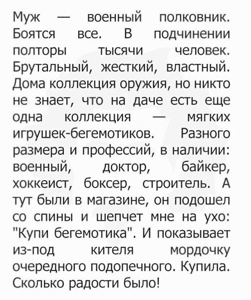 ☆ ☆ - 13  2023  09:08