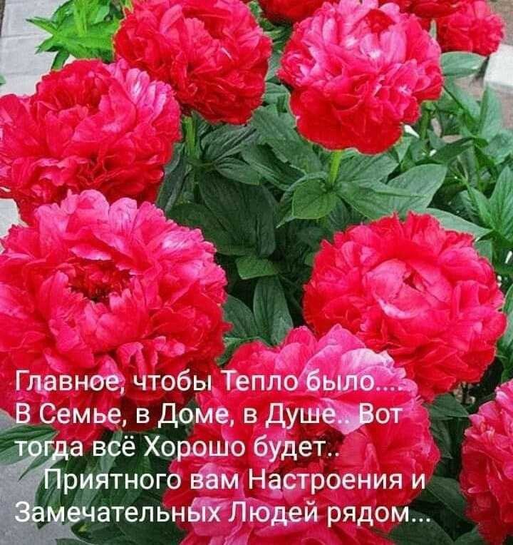  - 13  2022  16:08