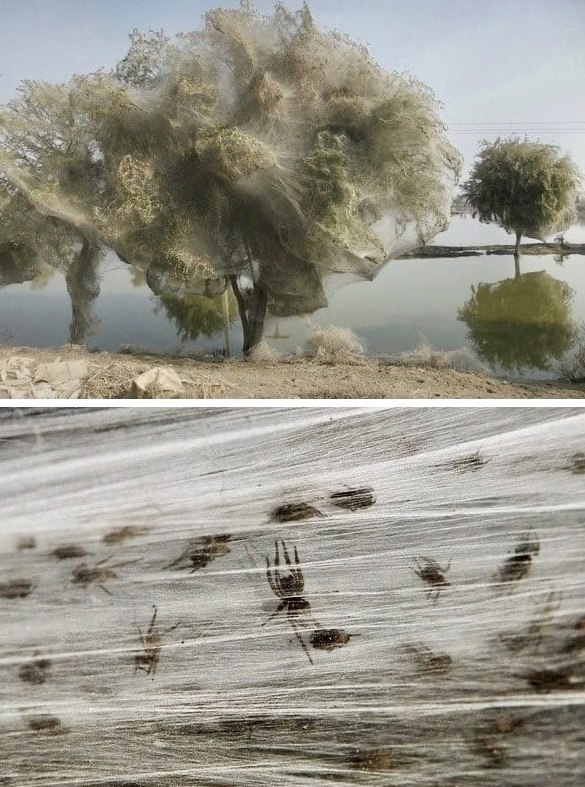 a  acae oea epe ao, cacac o aoe, e ca o cpe ce ...