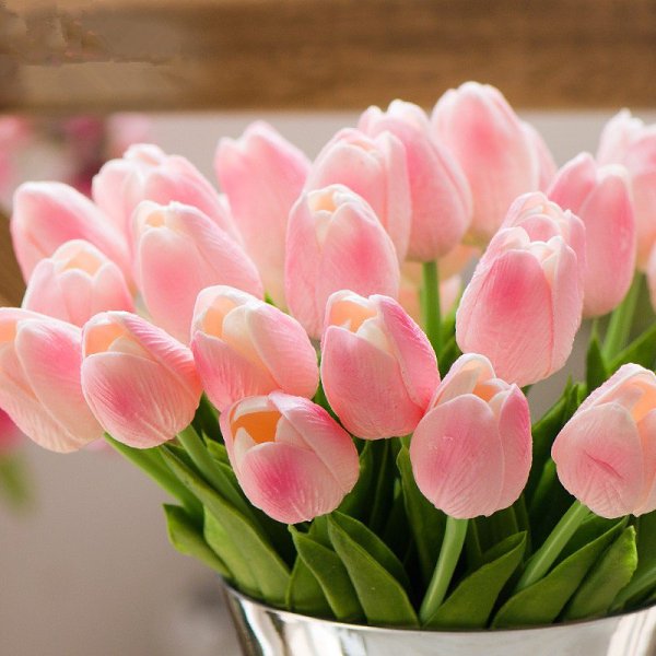    ! I wish everyone good luck! Preji vsem stesti!