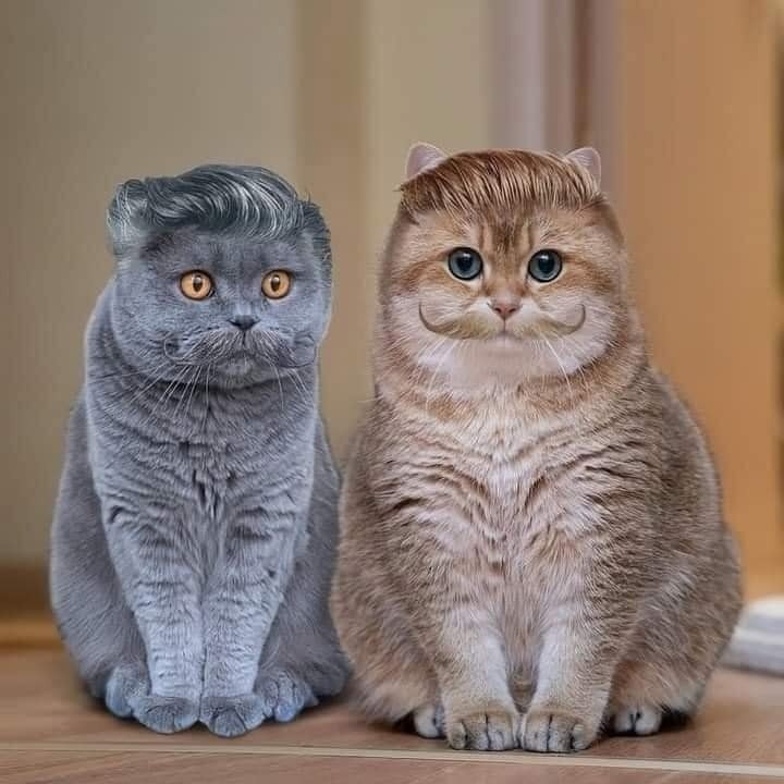    ... !!!