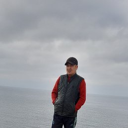 ��������, ������, 37 ���