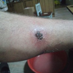 ���� ����, ���������, 59 ��� - ��������� 21 ������ 2022