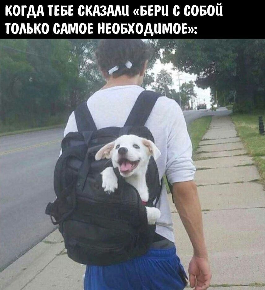    - 7  2023  11:15