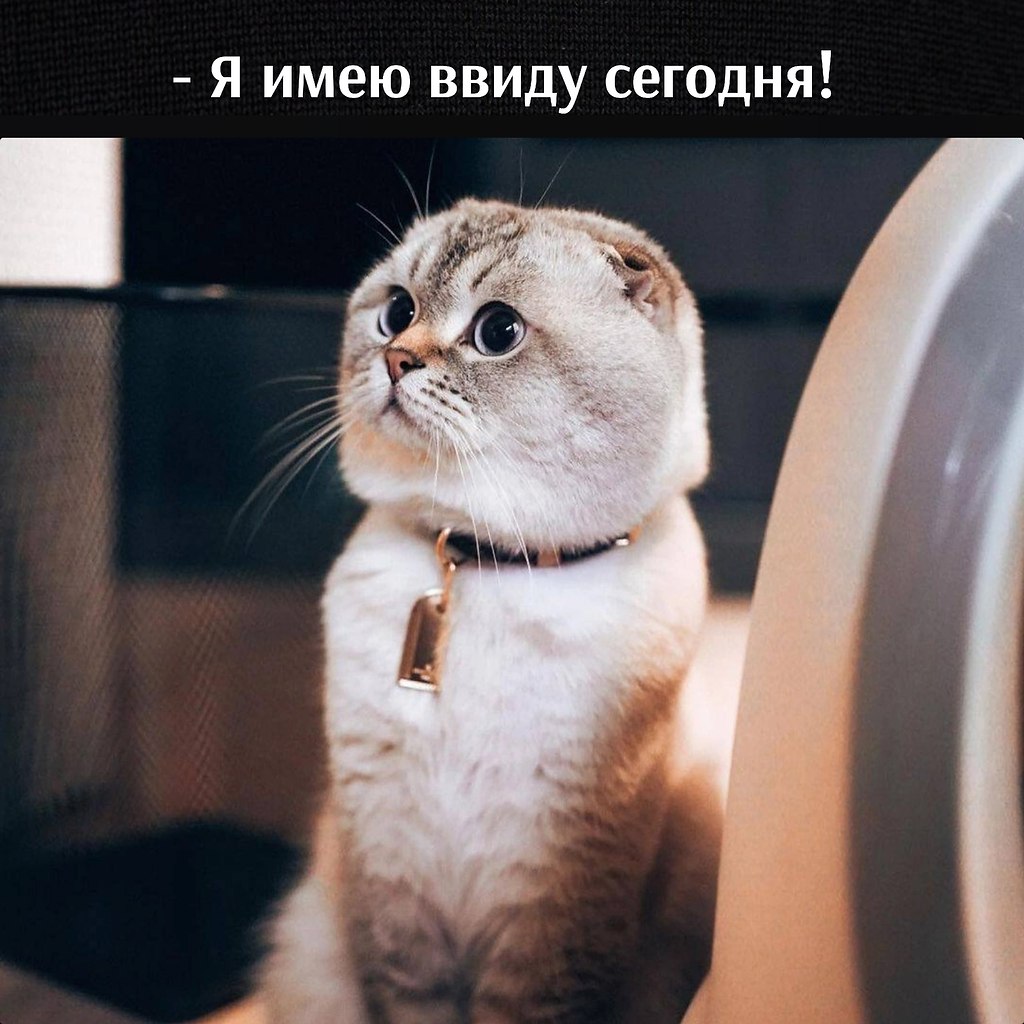       - 7  2023  11:30 - 3