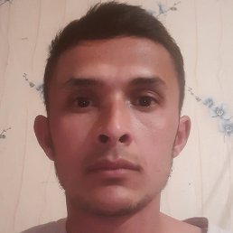 , , 24 