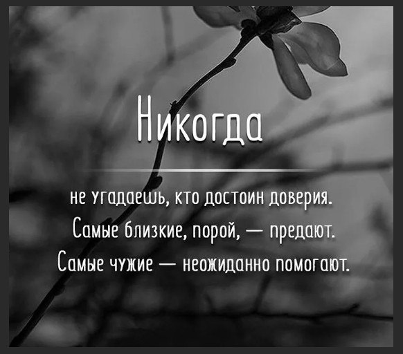   - 15  2023  18:59