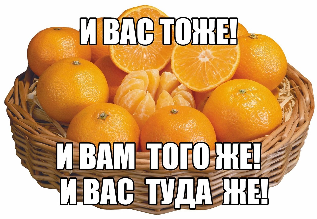 ������������� ���� - 5 ������ 2023 � 09:04