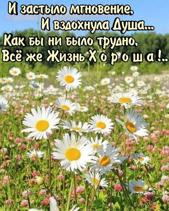 ������������� ���� - 29 ����� 2022 � 23:40