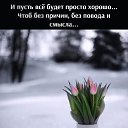 ���� �������, ��������, 71 ��� - ��������� 8 ������� 2022 � ������ ������ ��������