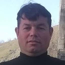 , -, 51 