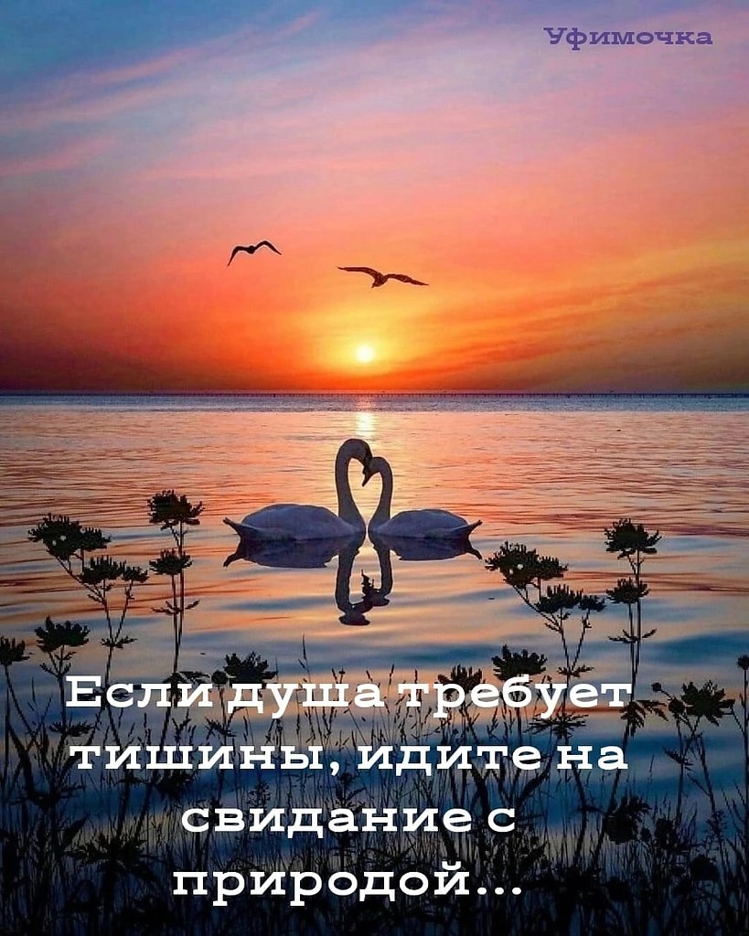   ,    . - 10  2022  16:22