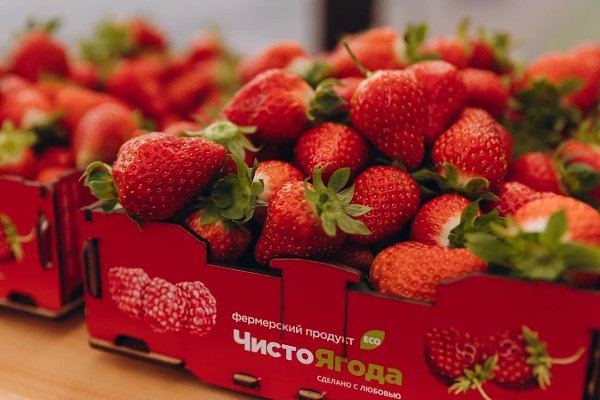 Туристический сезон в агропарке «ЧистоЯгода» продолжается! Каждый день, с 10:00 до 19:30, здесь рады ...